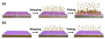 Use of Housed Li Anode Could Enable Practical Applications of Li Metal Batteries