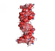 Vibrations of Phosphate Groups Represent Sensitive and Noninvasive Probes for Ions Interacting with Biomolecules