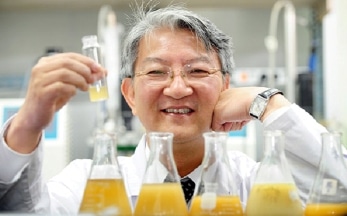 KAIST Researchers Create Metabolic Map for Producing Industrial Bio-Based Chemicals