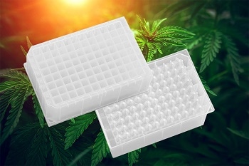 Preparing Samples of Cannabis Plant for THC/CBD Analysis