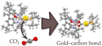 Collaborative Research Effort Results in the Discovery of Nucleophilic Gold Compound