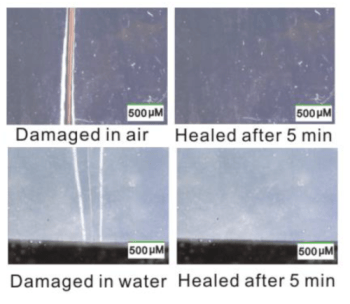 Researchers Develop New Self-Healing Material Based on Ethylene