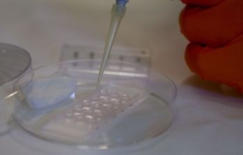 Researchers Develop Materials that More Closely Imitate Natural Surroundings of Cells in the Human Body