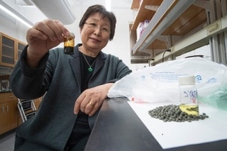 Polyolefin Waste Could Be Turned into Polymers: Research at Purdue University
