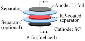 Scientists Use Red Phosphorus-Coated Separator in Batteries to Keep Lithium Dendrites in Check