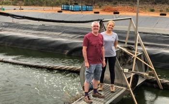 New System Cleans Up Rural Wastewater Problems