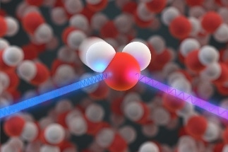 Homogeneous Nature of Water at Ambient Conditions