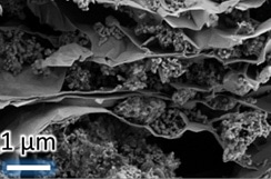 Fortifying Silicon with MXenes Could Expand the Capacity of Lithium-Ion Batteries