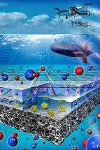 Researchers Develop Direct Borohydride Fuel Cell at Low Cost for Use in Ships, Planes, and Submarines