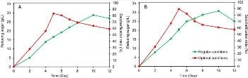 Cost-Effective Consolidated Bio-Saccharification Technique Available for Lignocellulose Conversion