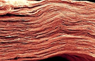 Scientists Discover a New Way to Improve the Energy Density of Supercapacitors Based on 2D Materials