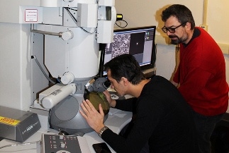 New Tungsten-Based Alloy Could be Valuable for Magnetic Fusion Facilities