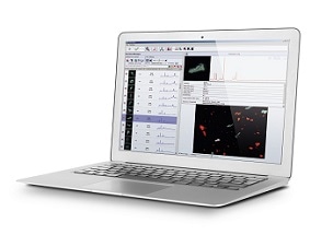 ParticleScout, a new analysis tool for faster detection, classification and identification of microparticles