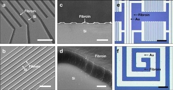 Making of Silk Fibroin-Based Biodegradable Electronic Devices Using AMoS