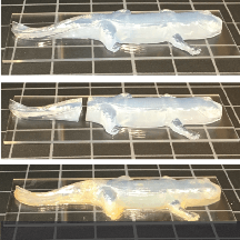 LEGO-Like Hydrogel Building Blocks May Find Use in Soft Robotics and Biomedical Applications