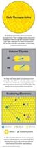 Study Shows Specific Molecules Change the Electronic Properties of Gold Nanoparticle Plasmons