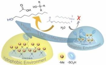 Researchers Find Strong Link between Hydrophobicity of Dense Siloxane Gels and Their Catalytic Activity