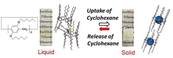 Kanazawa University Research: Vapor Drives a Liquid–solid Transition in a Molecular System