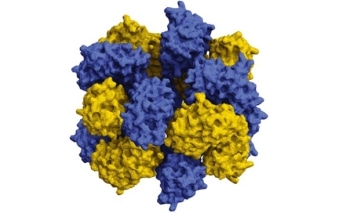 Scientists Use Supercomputers to Design Proteins that Self-Assemble to Combine and Resemble Life-Giving Molecules