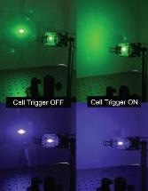 Researchers Work on Liquid Crystals to Deflect Laser Pointer Attacks on Aircraft