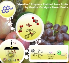 Detecting Ethylene, the Fruit Ripening Hormone
