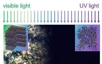 Novel Polymer with Switchable Thermal Conductivity Controlled by Light, Finds Study