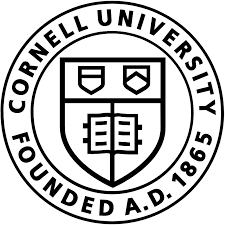 Cornell Researchers Construct DNA Material with Artificial Metabolism