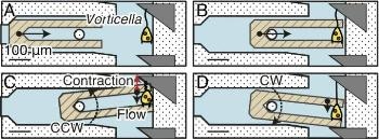 Researchers Harness Microorganisms for Smart Microsystems