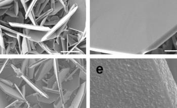 New Discovery Could Lead to Rapid-Charging, Better Performing Lithium-Ion Batteries
