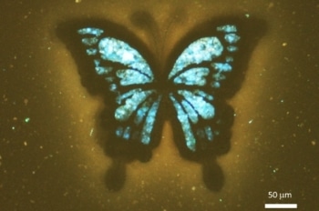 Recovered Carbon Black for Multicolour Fluorescence Displays