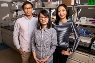 Self-Assembly of Non-Uniform Synthetic Materials can Pave the Way for Novel Reconfigurable Materials