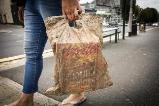 Study Highlights the Impact of Biodegradable Plastic Bags on Coastal Sediments