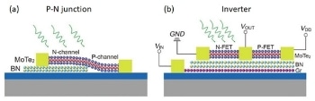 Photodoping in 2D Materials for Fabrication of Logic Devices