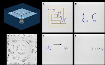 New Phenomenon to Control the Motion of Particles on a Vibrating Surface