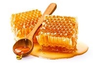 Understanding the Power of Honey Through its Proteins