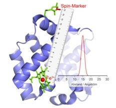 Innovative Technique Allows Scientists to Watch Enzymes at Work