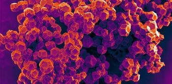 Mechanical Properties of Porous Materials can be Accurately Predicted Through Machine Learning Algorithm