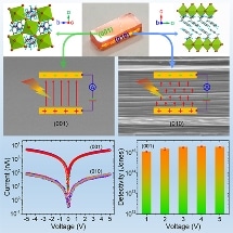 Researchers Design a New Method to Synthesize High-Performance 2D Perovskite Single-Crystal Photodetector