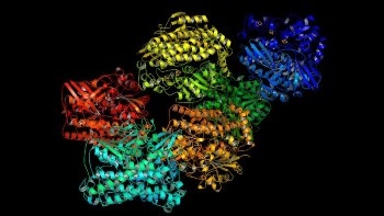 Researchers Synthesize the First-Ever Non-Native Iron Hydrogenase
