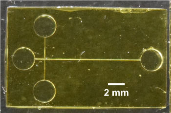 3D-Printed Device Detects Biomarkers of Preterm Birth 