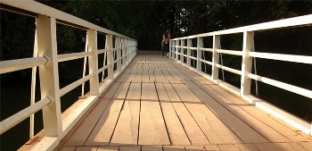 Researcher Develops Model that Can Predict Wood’s Behavior