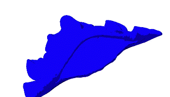 Sea Creature Inspires Lighter Materials that can Absorb Significant Amounts of Energy Without Falling Apart