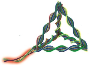 DNA Nanorobots Target HER2-Positive Breast Cancer Cells