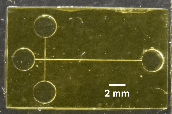 3D-Printed Device Detects Biomarkers of Preterm Birth