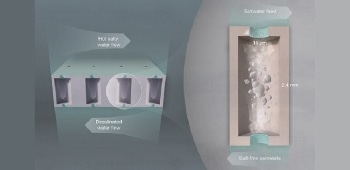 Insect-Inspired, Greener Water-Repellent Membranes for Desalination