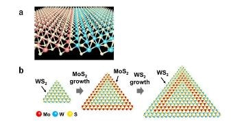Researchers Engineer 2D Transition Metal Dichalcogenide Heterostructures