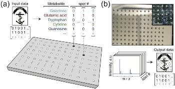 New Study Shows Potential of Metabolite Information Storage System