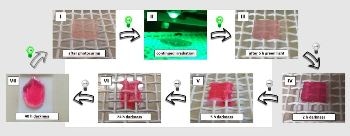 Researchers Develop Light-Stabilized Dynamic Materials