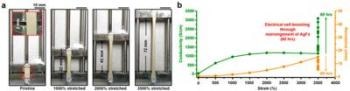 New Material Developed for Wearable Devices has Excellent Electrical Conductivity
