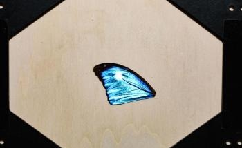 Researchers Develop Model to Digitally Replicate All Materials in the World